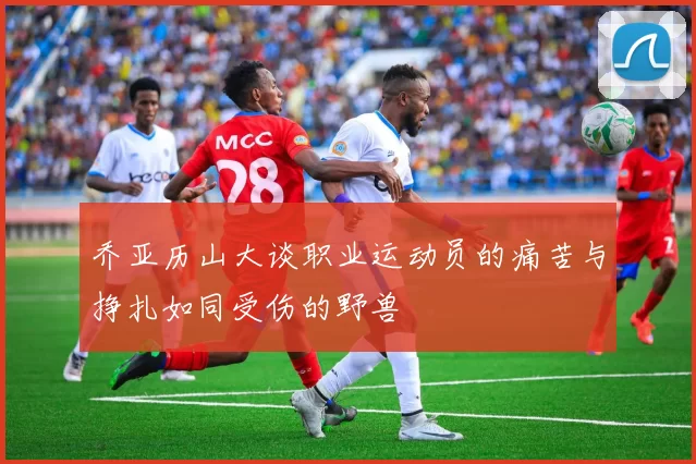 乔亚历山大谈职业运动员的痛苦与挣扎如同受伤的野兽