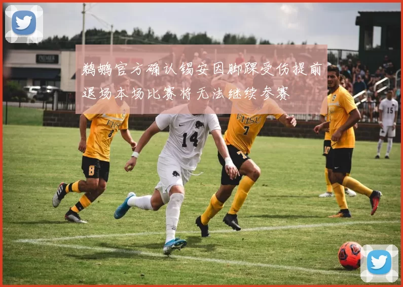 鹈鹕官方确认锡安因脚踝受伤提前退场本场比赛将无法继续参赛